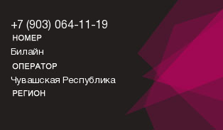 9030641119